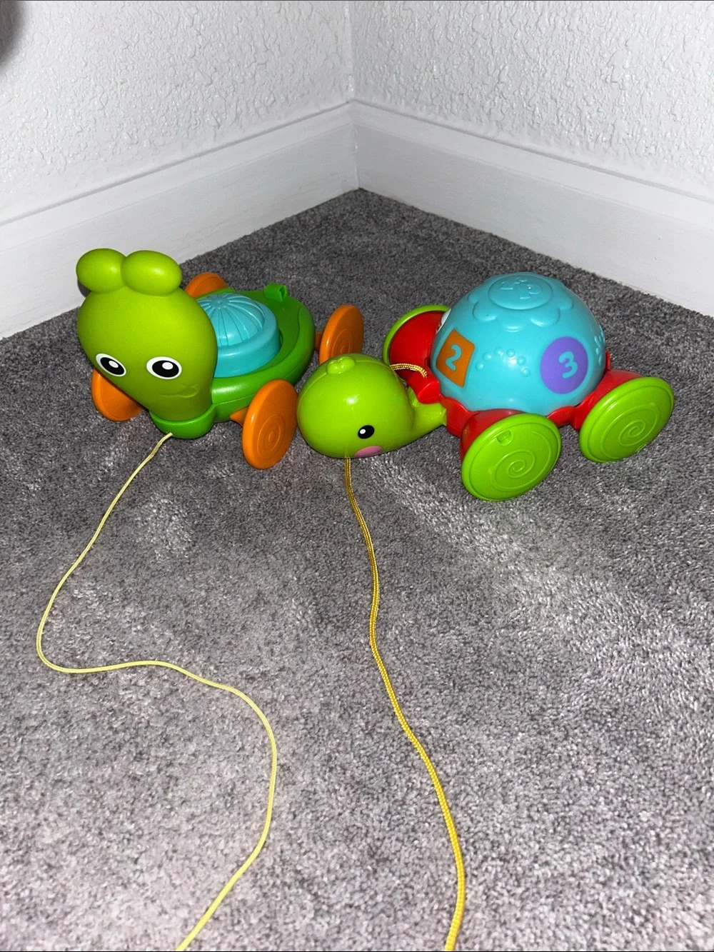 Pull-Along Turtle Toys